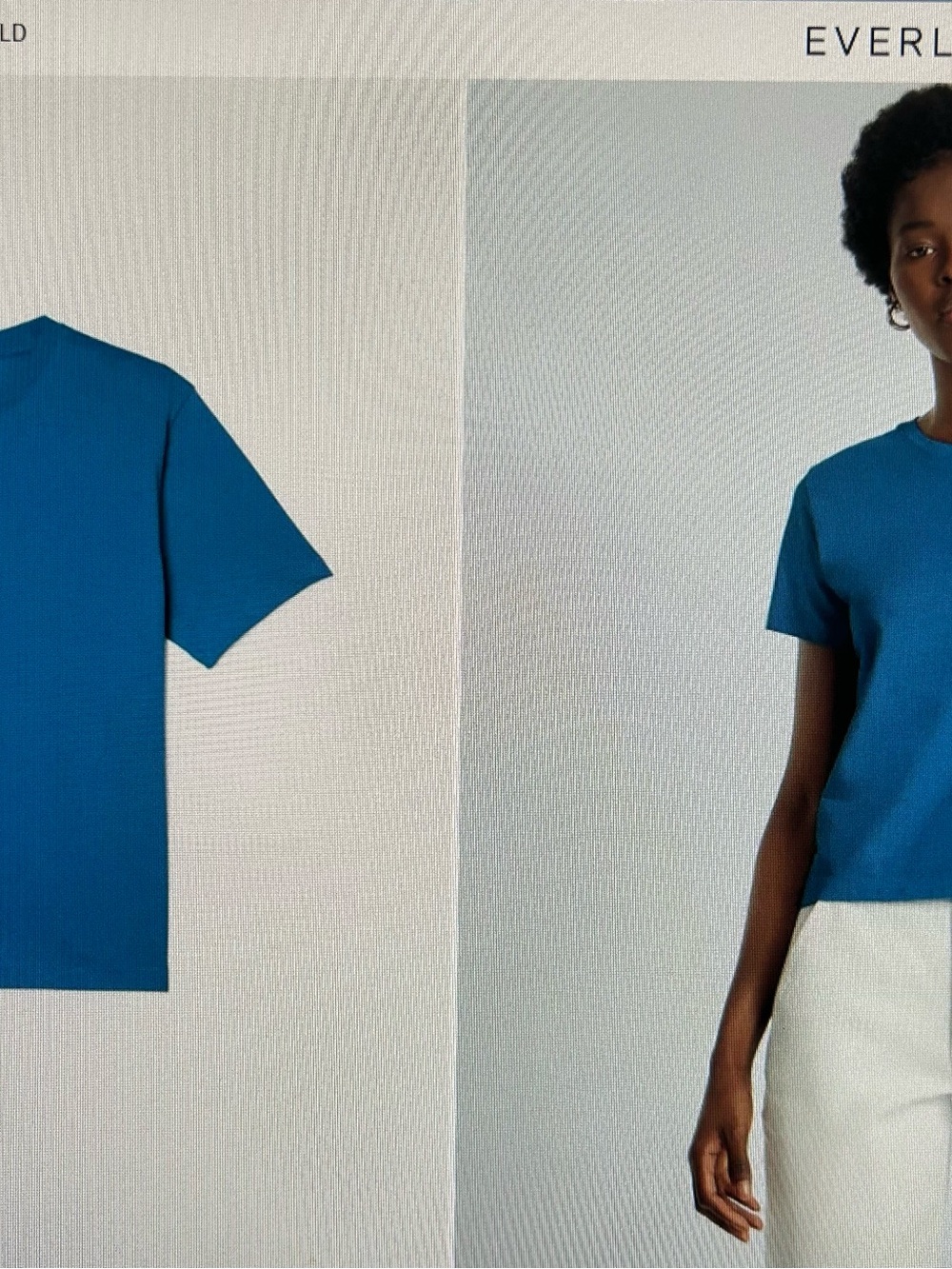 Everlane Women’s Organic Cotton T-Shirt in Horizon Blue